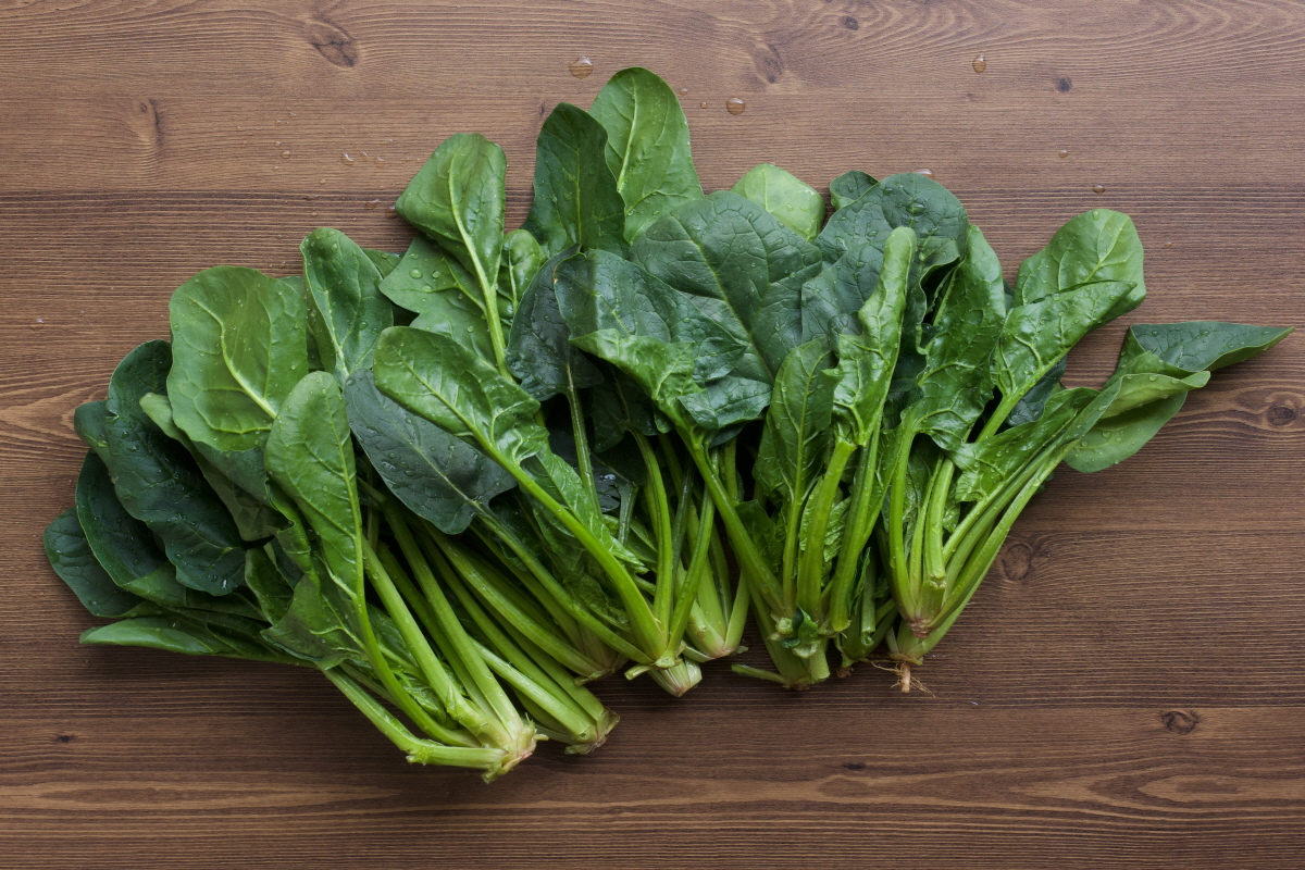 빈혈에 좋은 음식