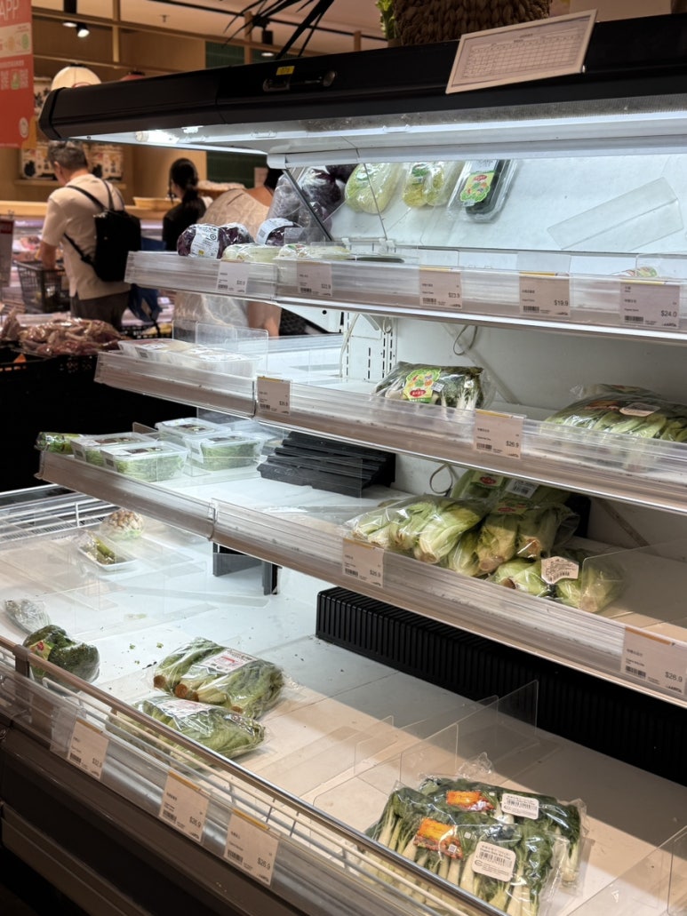 홍콩-태풍-라가사-긴급-여행-가이드-및-환불-규정-총정리