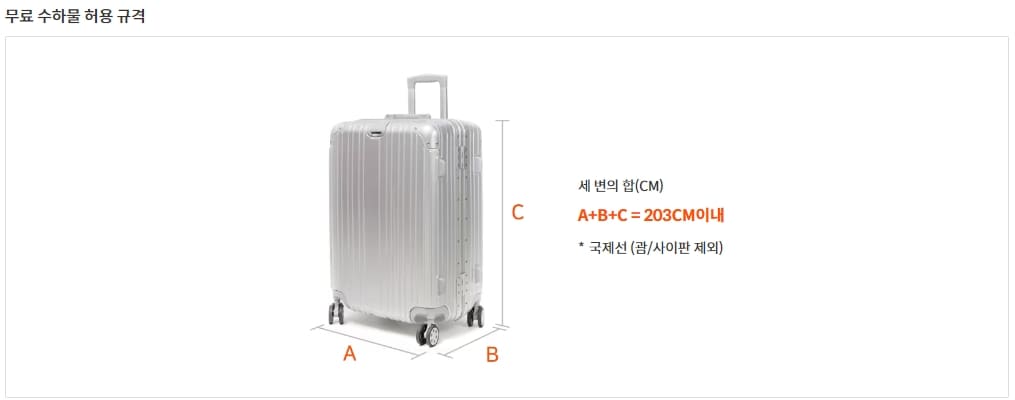 위탁수하물 안내