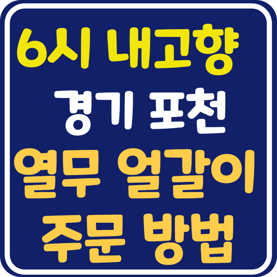 6시 내고향 경기 포천 열무 얼갈이 주문 방법