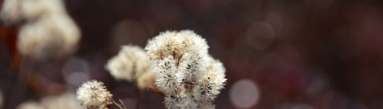 가평 펜션 탐방하기