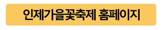 인제가을꽃축제