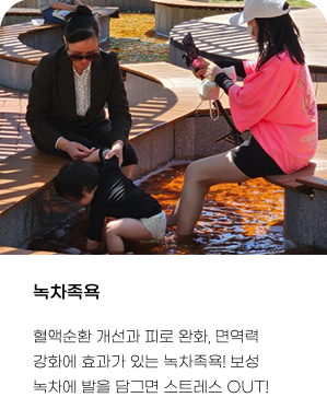 2025 보성 다향대축제 라인업&amp;#44; 2025 보성다향대축제 가수&amp;#44; 2025 보성다향대축제 기본정보