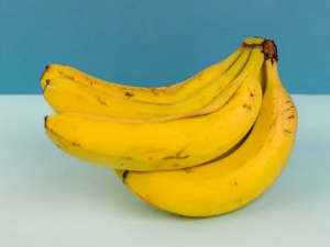 위에 좋은 음식