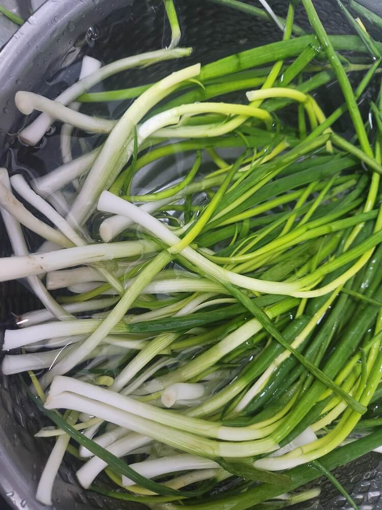 물에 씻기