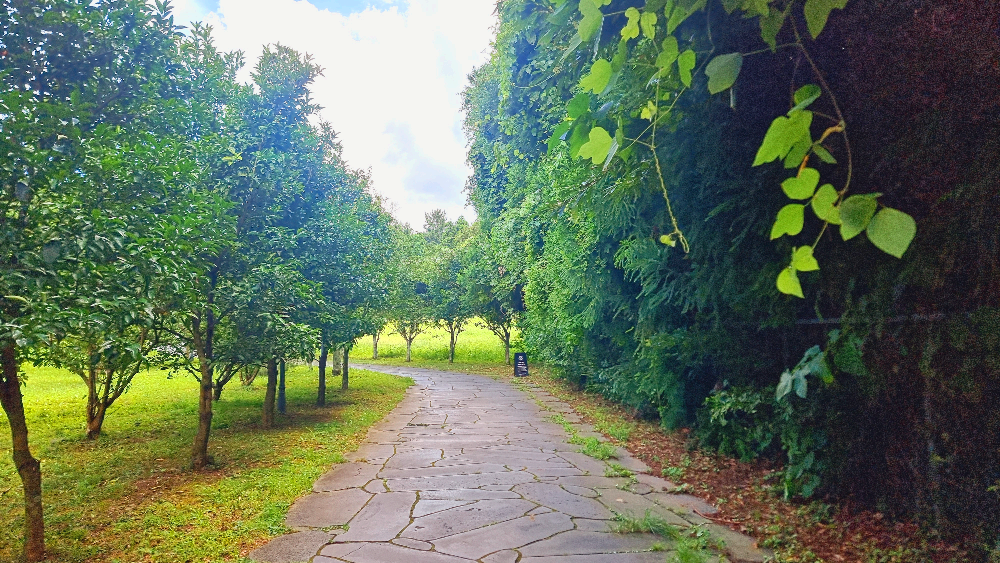 제주도 소길별하는 주차장에서 산채로를 따라 걸어올라가야함