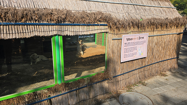 순천만국가정원 어린이 동물원 서문 순천여행 24년 11월 사진