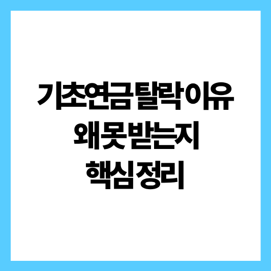 기초연금 탈락이유