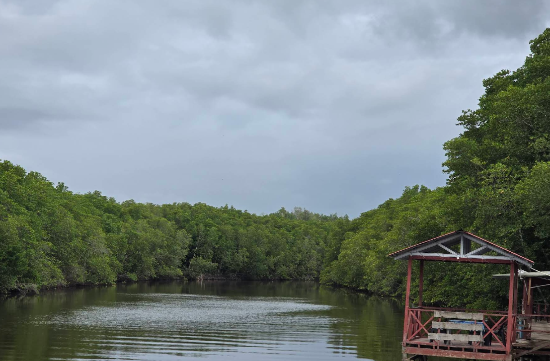 말레이시아 코타키나발루 선셋 석양 보고온 후기 (탄중아루&amp;#44; 반딧불투어)