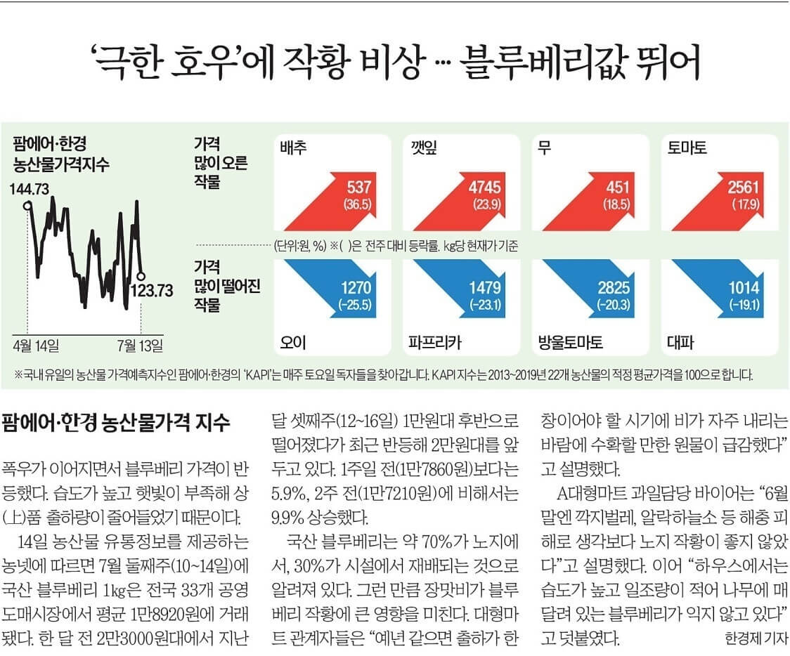7월 15일 토 신문스크랩16