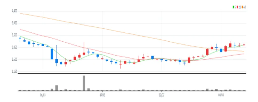 현대퓨처넷 주봉