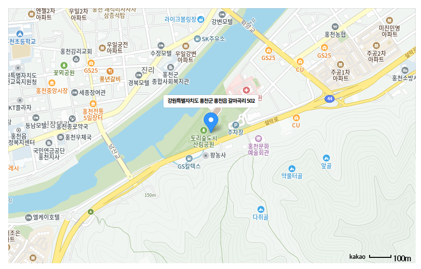 제9회 홍천강 별빛음악맥주축제 2025