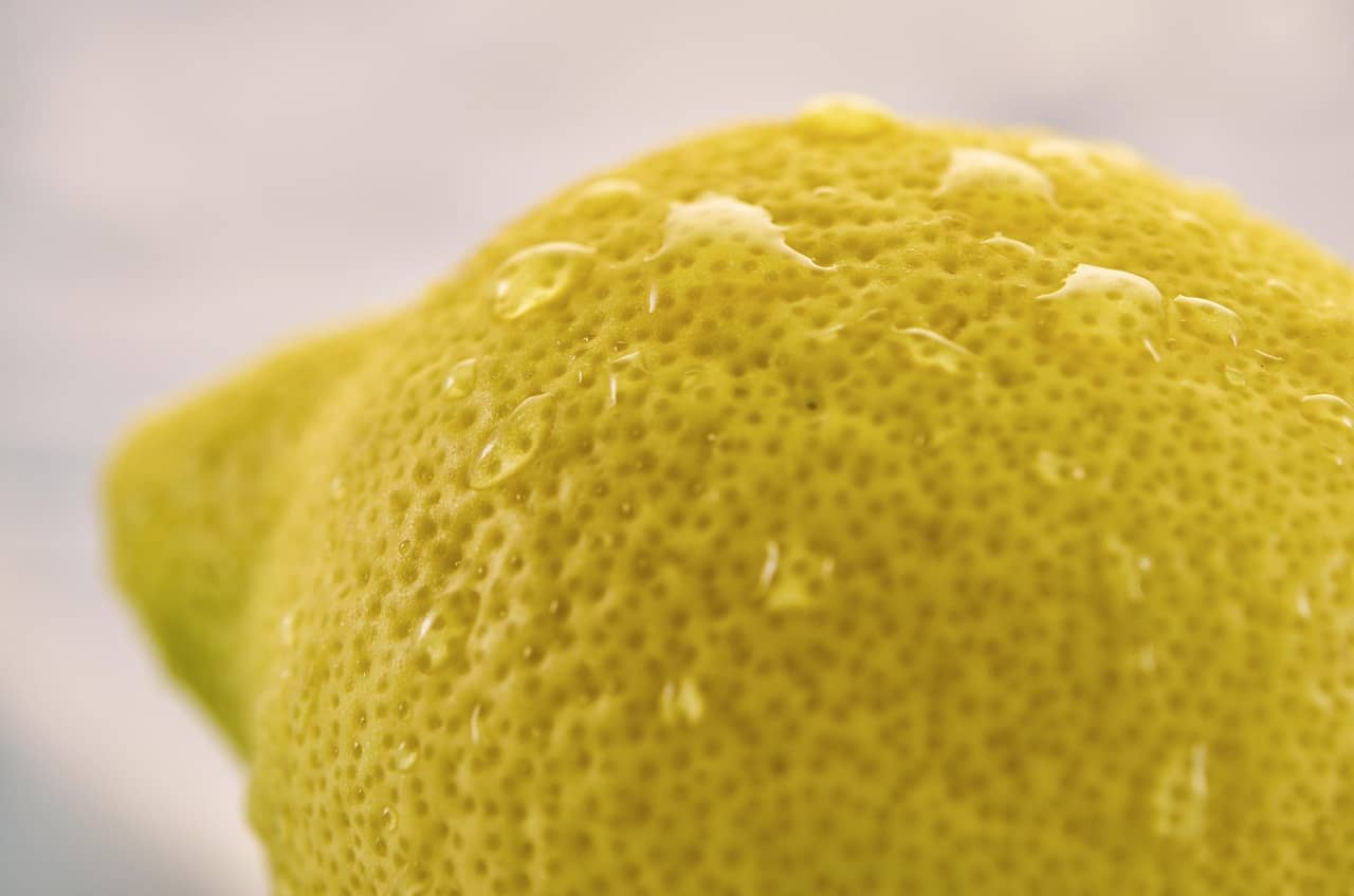 비타민B군 vs 타우린 vs 코엔자임Q10 비교