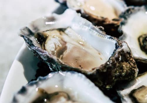 테스토스테론 음식 굴