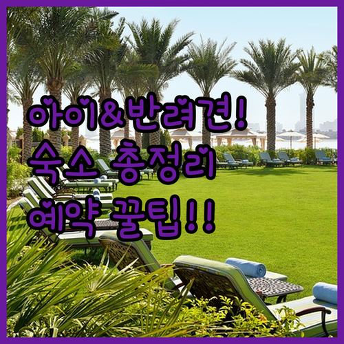 아이랑 반려견이랑 가기 좋은 비발디파..