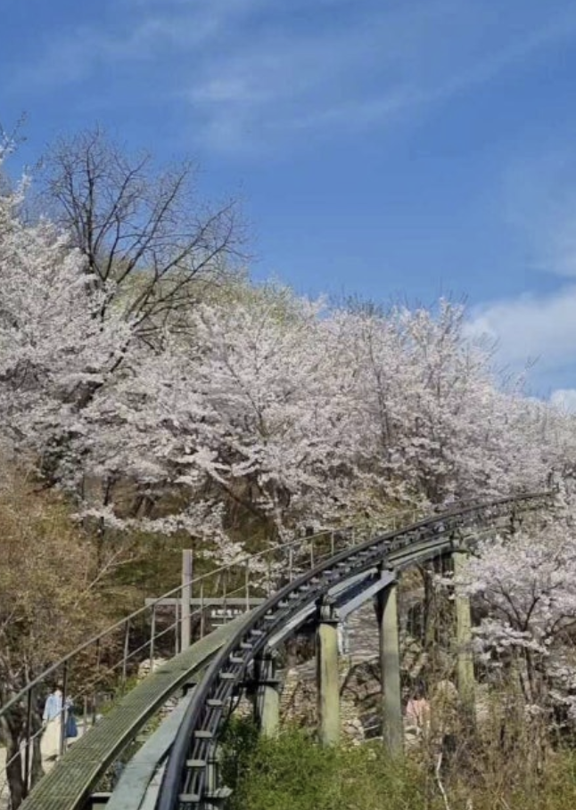 화담숲 예약하기 홈페이지 입장료 주변 맛집 모노레일 단풍 절정시기 꿀팁