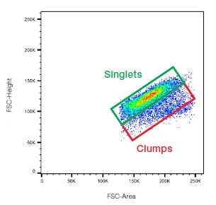 세포주기 (Cell cycle) Gating