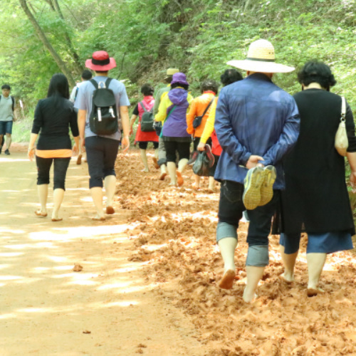 알트태그-걷기 명소 대전 계족산