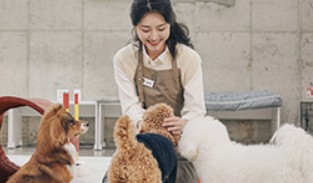 반려동물관리사 자격증 취득방법