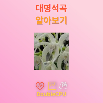 대명석곡 꽃말 및 탐구