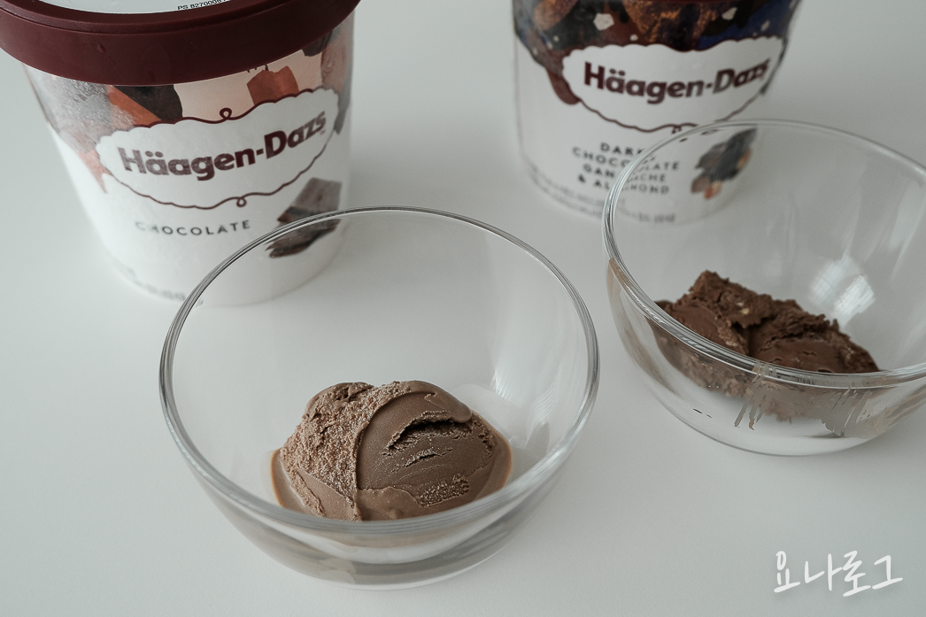 하겐다즈 하겐다즈초콜릿 초코아이스크림 초코디저트 초콜릿디저트 다크초코 다크초콜릿 초콜릿 다크초코아이스크림 다크초콜릿가나슈앤아몬드 내돈내산 내돈내산리뷰 아이스크림리뷰 아이스크림추천 하겐다즈추천 간식 간식추천