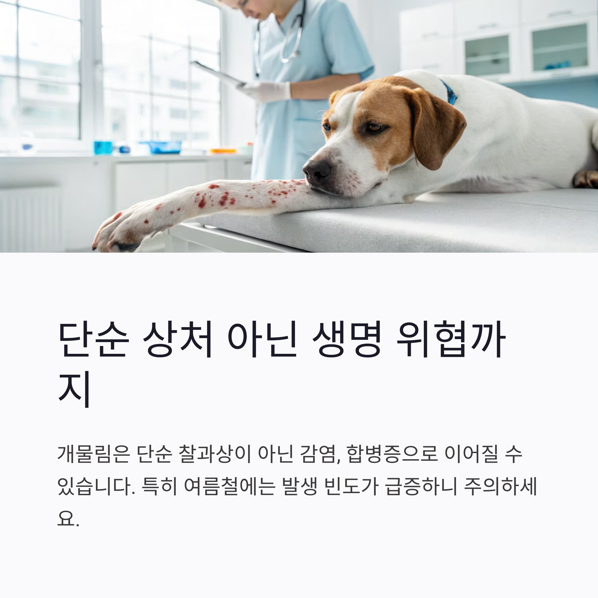단순 상처 아닌 생명 위협까지