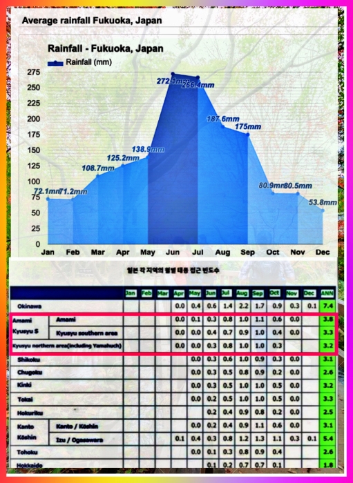 후쿠오카 태풍 방문 시기