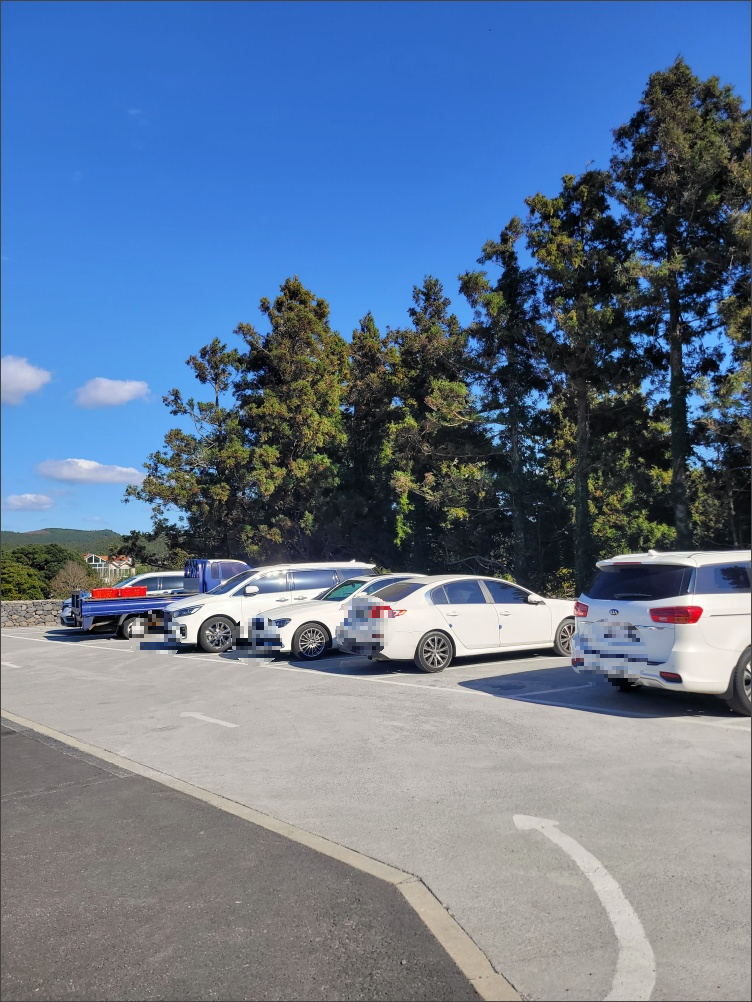 교래곶자왈손칼국수-주차장