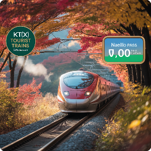 코레일 가을여행 관광열차 50%할인 + 내일로패스 1만원 할인 이미지