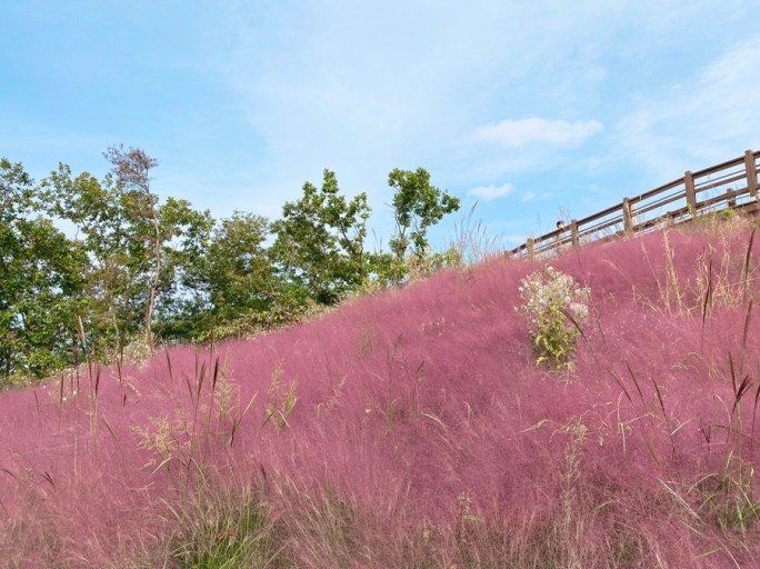 헤이리 무장애 노을숲길