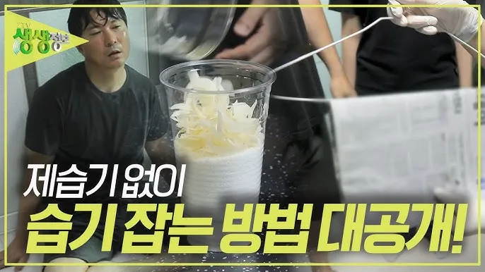 제습기 없이 습기 제거 끝 숯 염화칼슘 등 천연 제습제 활용법 완벽 가이드_1