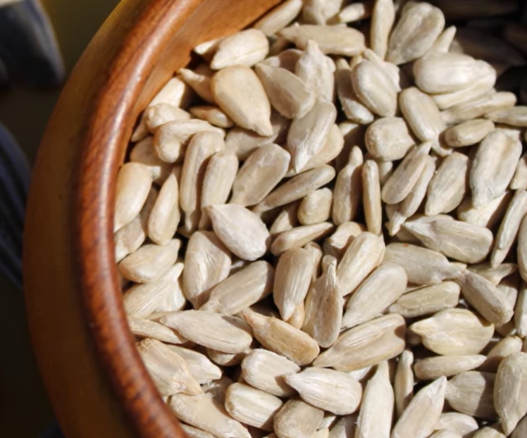 해바라기 씨 효능