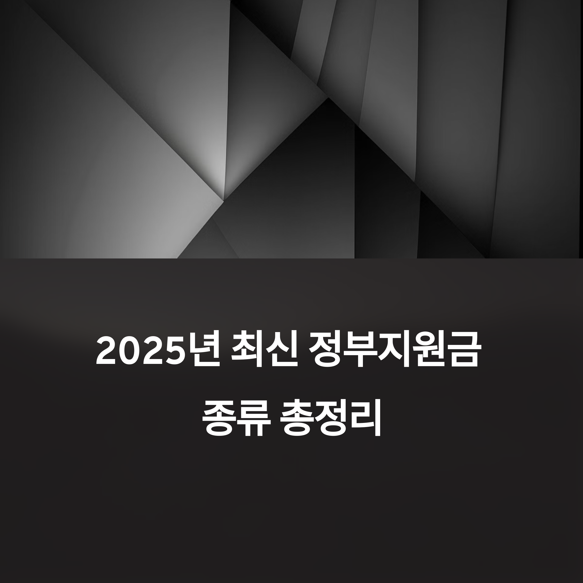 2025년 최신 정부지원금 종류 총정리