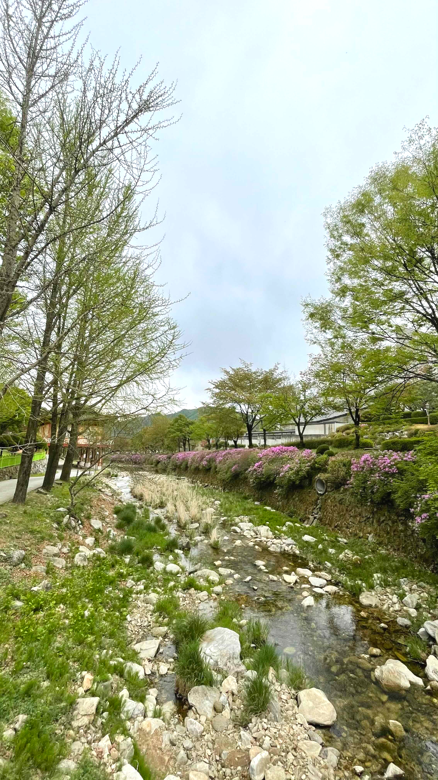 베론성지 실개천