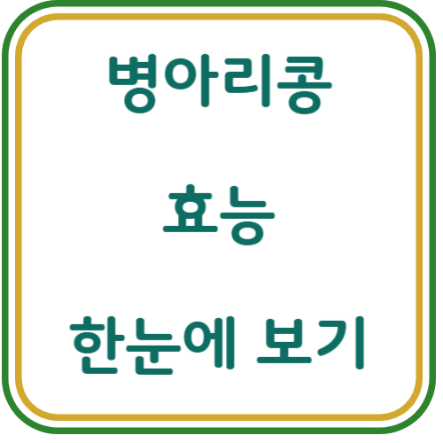 병아리콩 효능