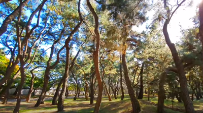 경주여행_1박2일