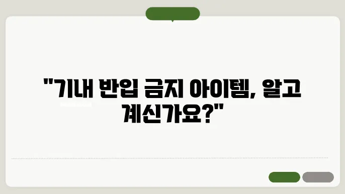 비행기 기내 반입금지 항목