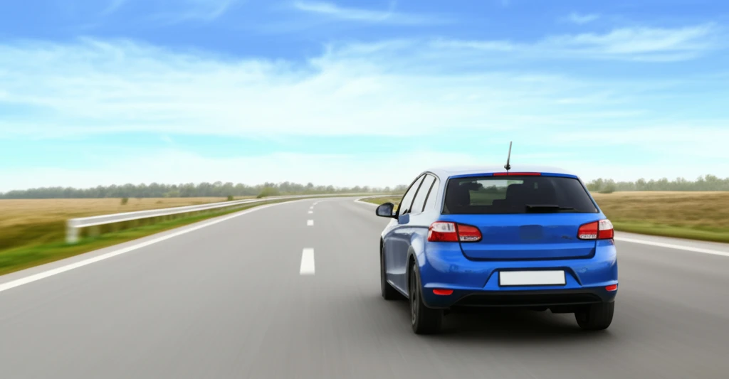 내 차 유지비 아끼는 방법, 정기 점