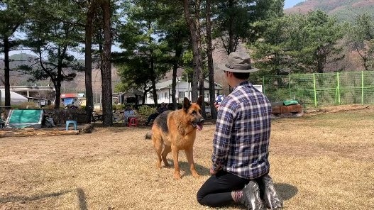 가수 이문세