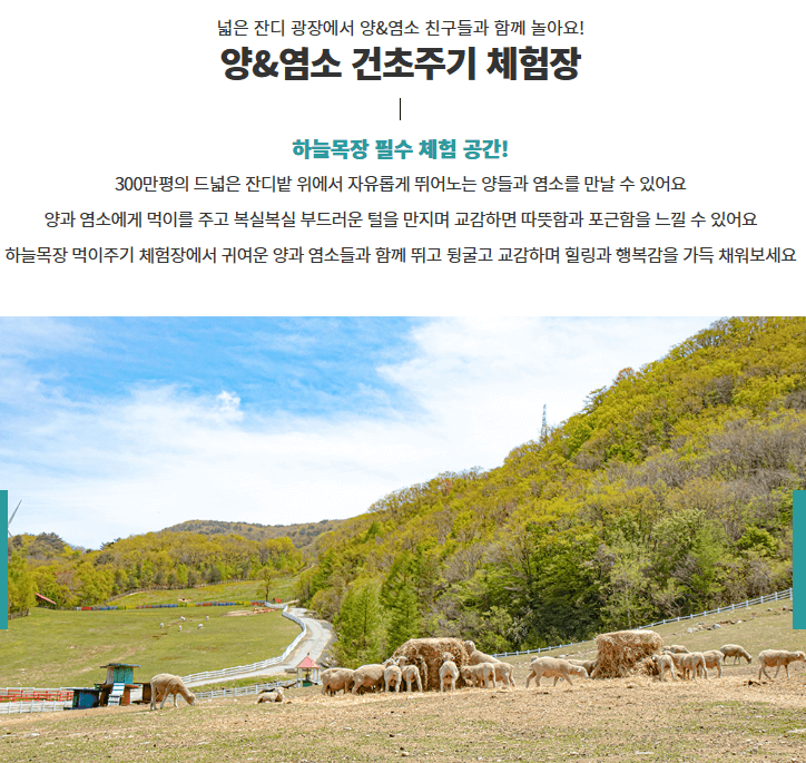 대관령 하늘목장