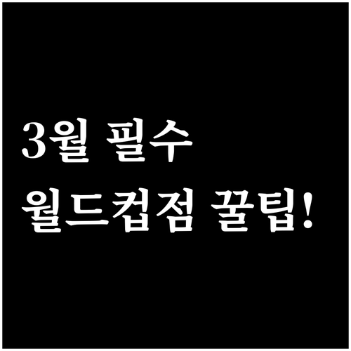홈플러스 월드컵점 2026년 3월 방..