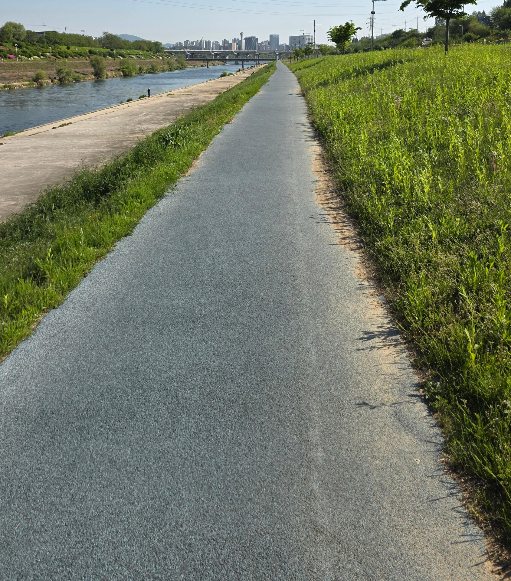 직선