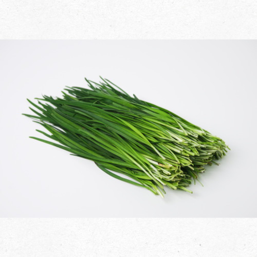 부추 효능 요약