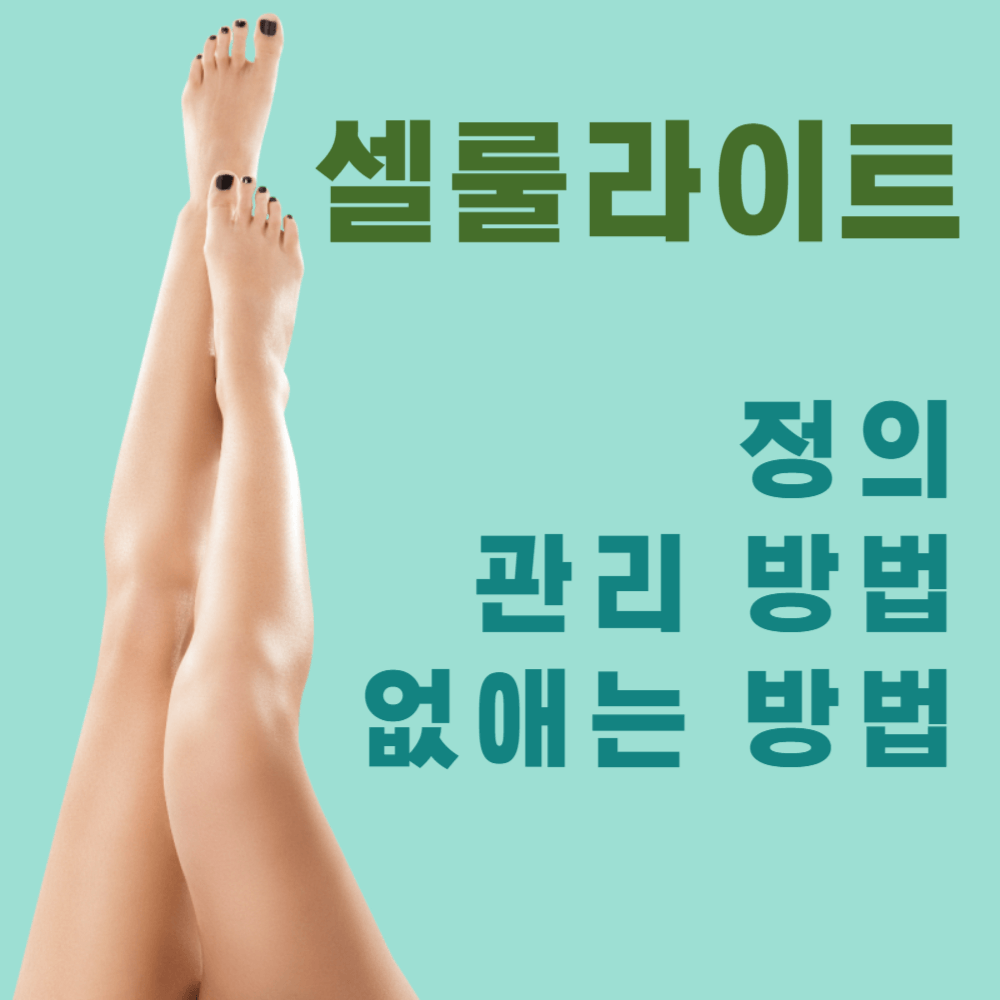 셀룰라이트 정의와 관리 방법 및 없애는 방법