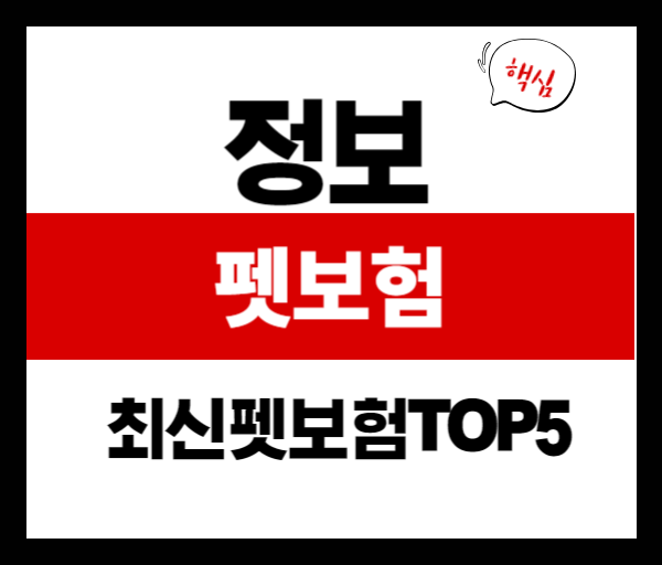2025년 최신 펫보험 순위 TOP5|강아지·고양이 보험 비교