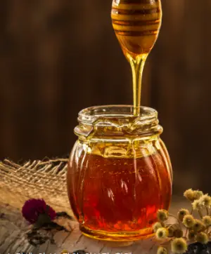 꿀-이미지-사진