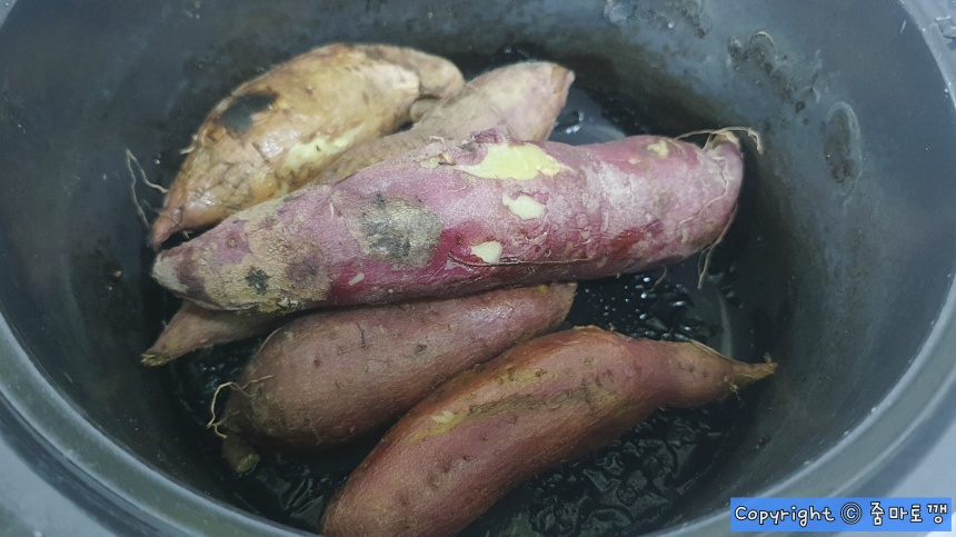 고구마-삶기