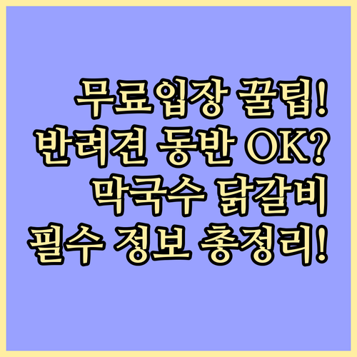 춘천 막국수 닭갈비 축제 무료 입장 ..