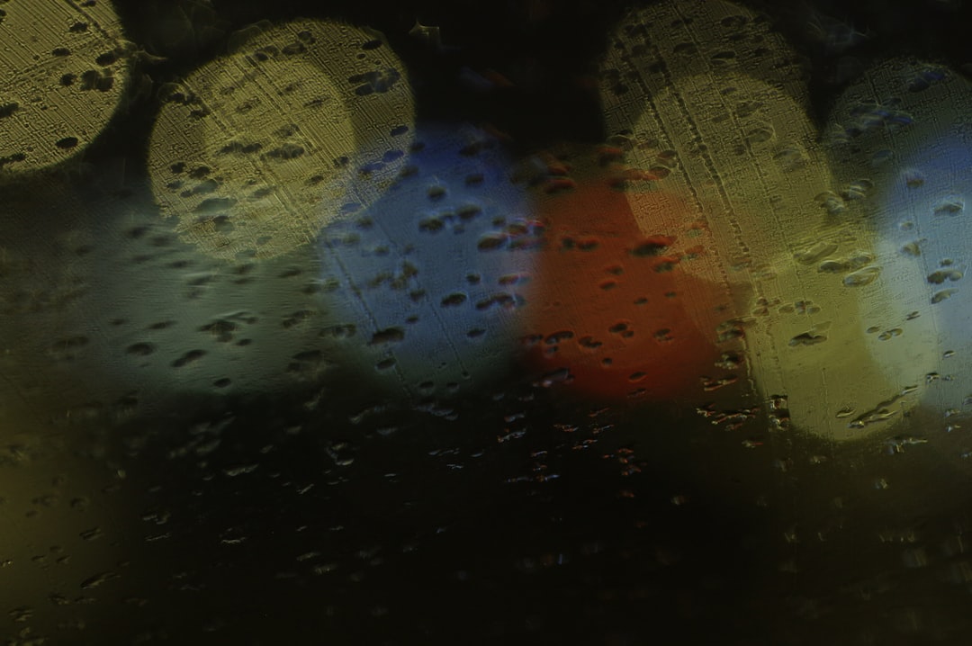 Forecast