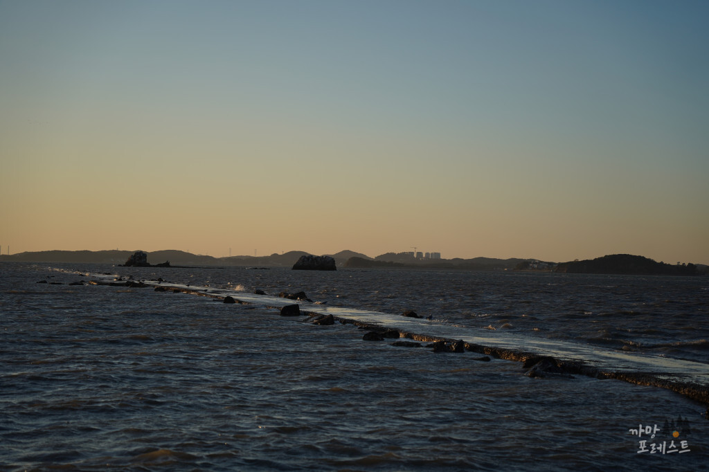 안산 탄도항 바다길